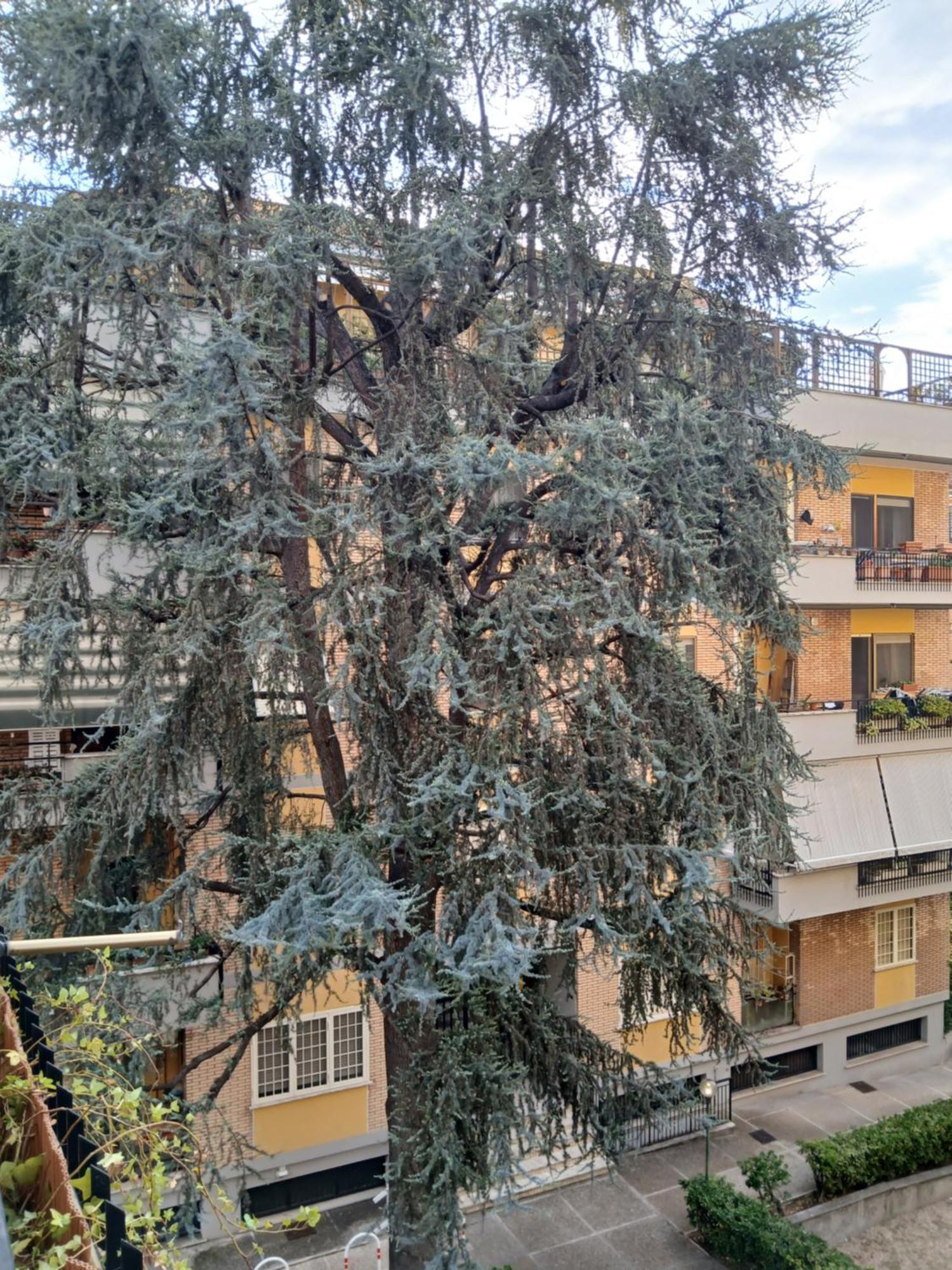 La Casa Di Antonella E Giuseppe Lägenhet Rom Exteriör bild